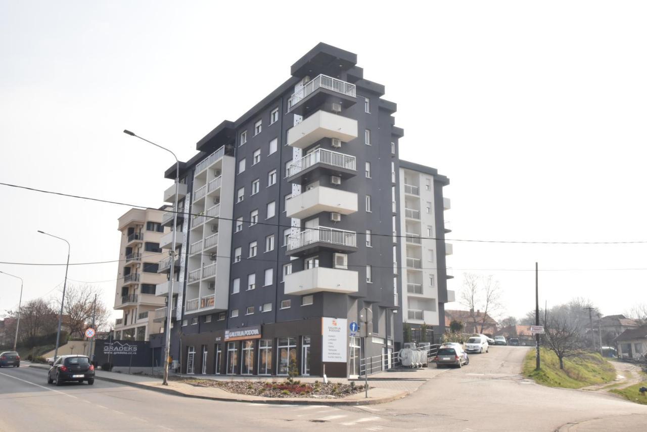 Suncokret * Loznica